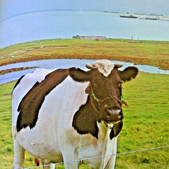 Livestock Farm Guide Keeping Animals Complete Book Poultry Hobby Housing Raising - Picture 5 of 16